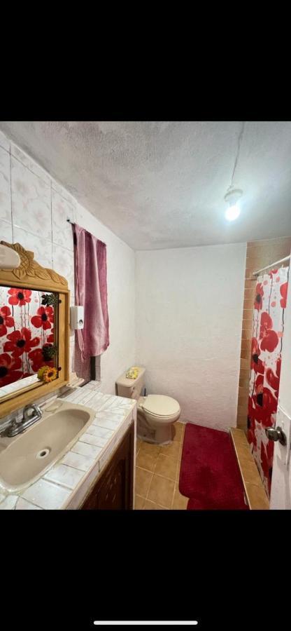 Home Sweet Home Guanajuato Exterior photo