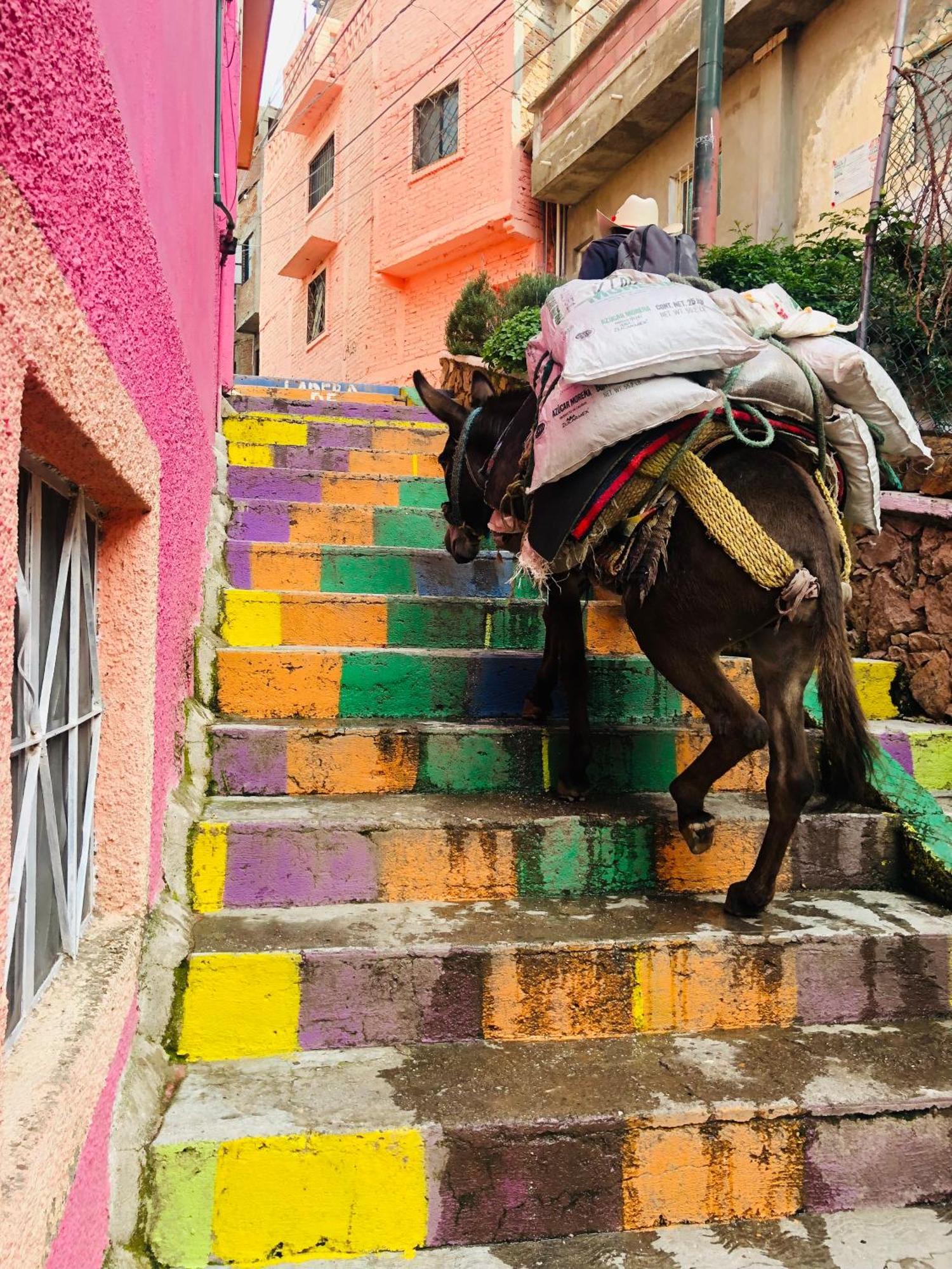 Home Sweet Home Guanajuato Exterior photo